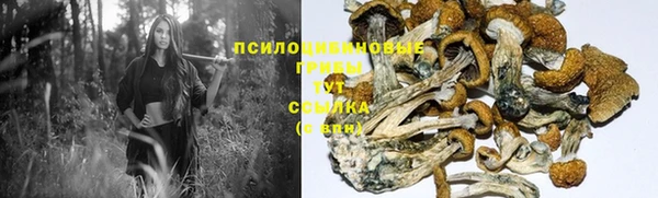 сатива Майский