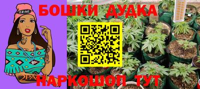 спиды Жуковский