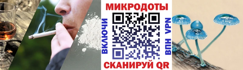 Псилоцибиновые грибы прущие грибы  Прокопьевск 
