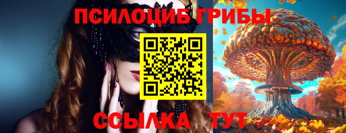 Галлюциногенные грибы Psilocybine cubensis Прокопьевск