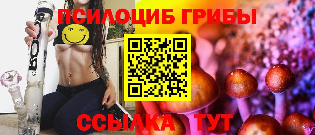 закладки  Вход с VPN  Псилоцибиновые грибы GOLDEN TEACHER  Прокопьевск  Псилоцибиновые грибы MAGIC MUSHROOMS 